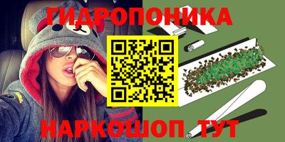 гидра Будённовск