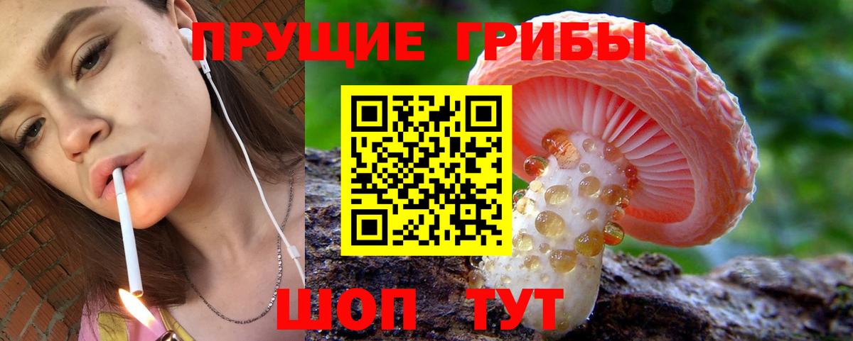 наркотики  Галлюциногенные грибы мицелий  Вход с VPN  Салават 